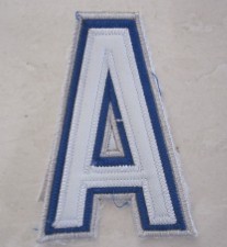 tampa bay lightning alternate