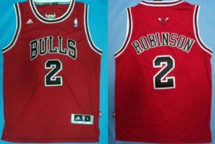 nate robinson bulls jersey