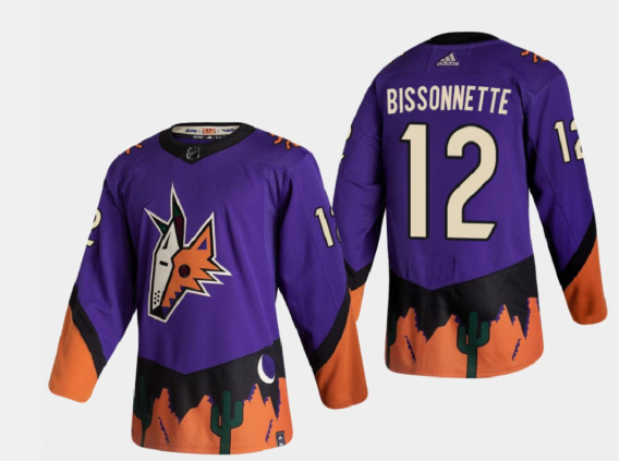 Arizona Coyotes Throwback Jerseys, Vintage NHL Gear